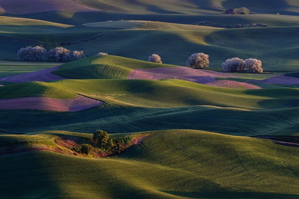 Sunrise warms the rolling hills of the Palouse Country in eastern Washington, USA