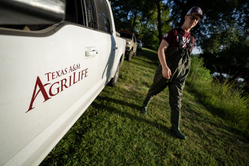 A student walking past a truck with a Texas A&M logo.