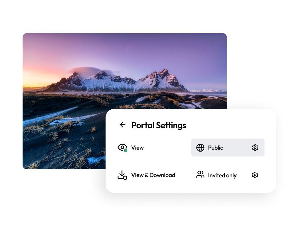 Branded asset management portal showing access control options with public, view/download, and invited-only sharing settings.