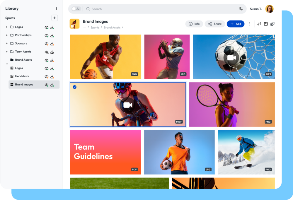 digital asset management dam month header