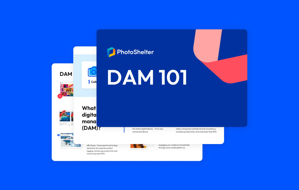representation of DAM 101 guide