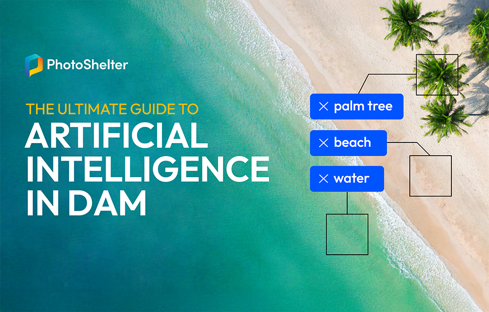 image promoting the ultimate guide to artificial intelligence in DAM