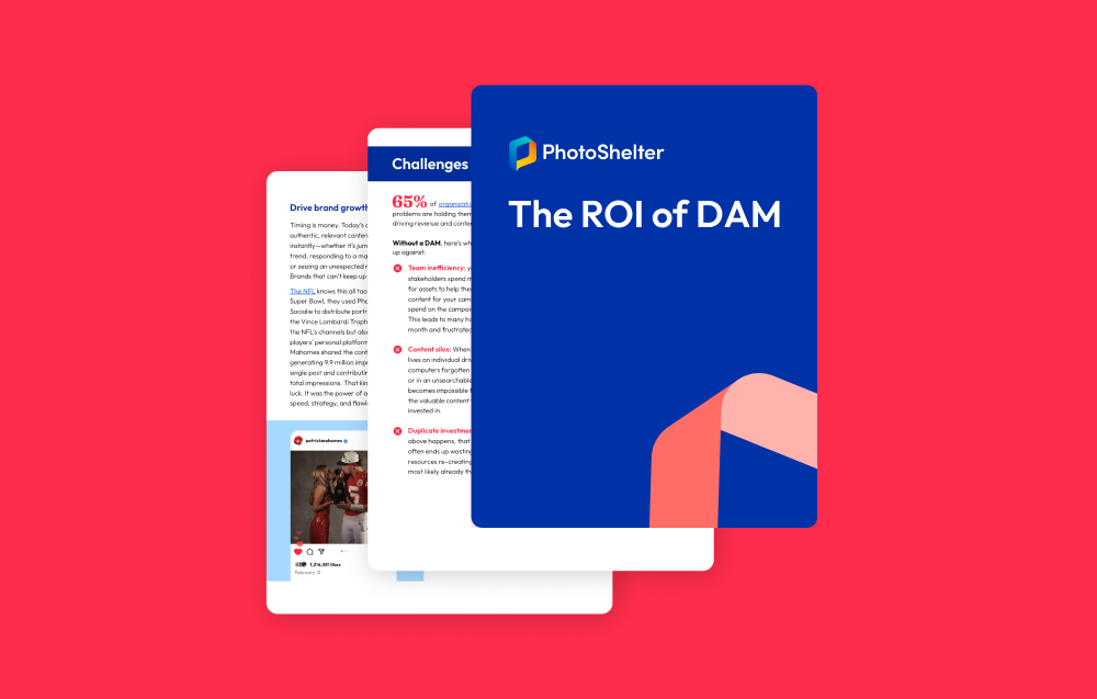 image showing downloadable pdf of ROI of DAM digital asset management system