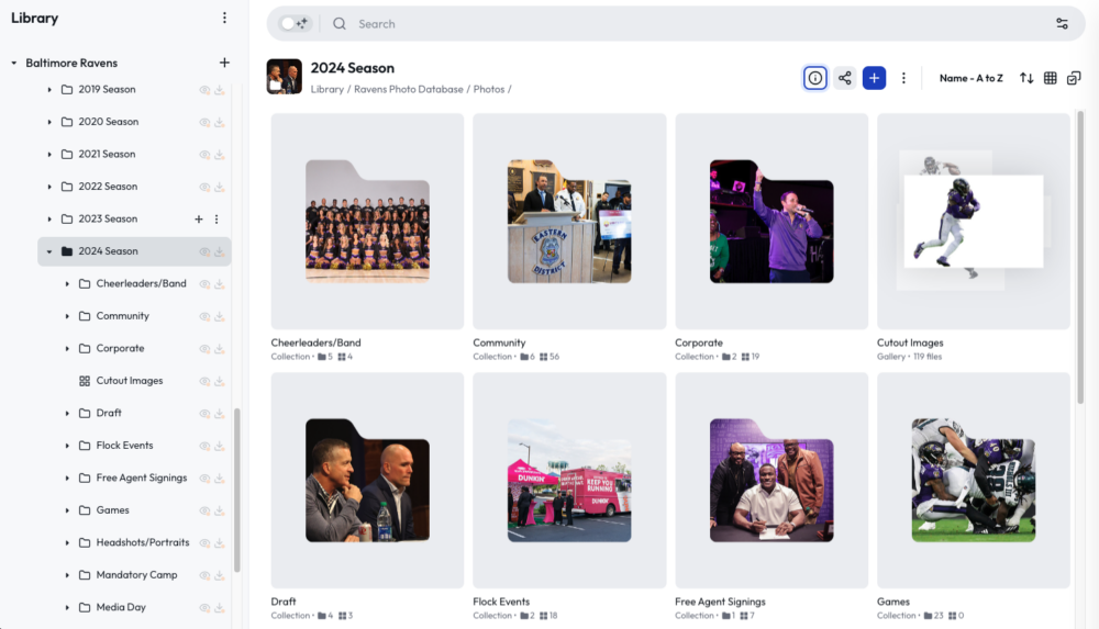 Raven Lib 5 Ways to Organize Your PhotoShelter Library