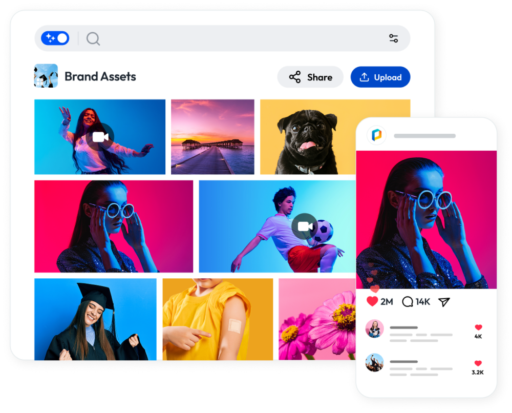 representative screenshot of photoshelter digital asset management