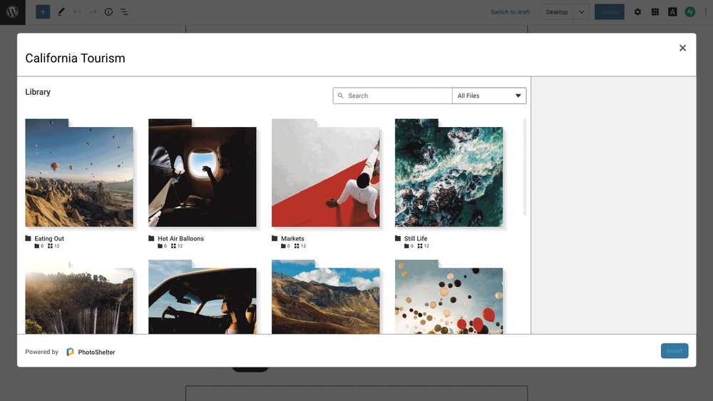 Visual library into the WordPress editor