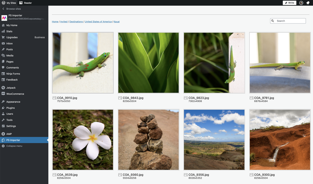  team organizes and manages its visual content